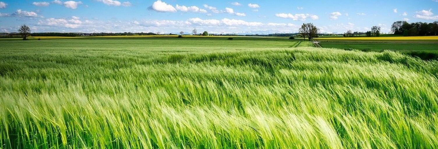 Terrain  1617 m² à vendre à Eydoche (38690)