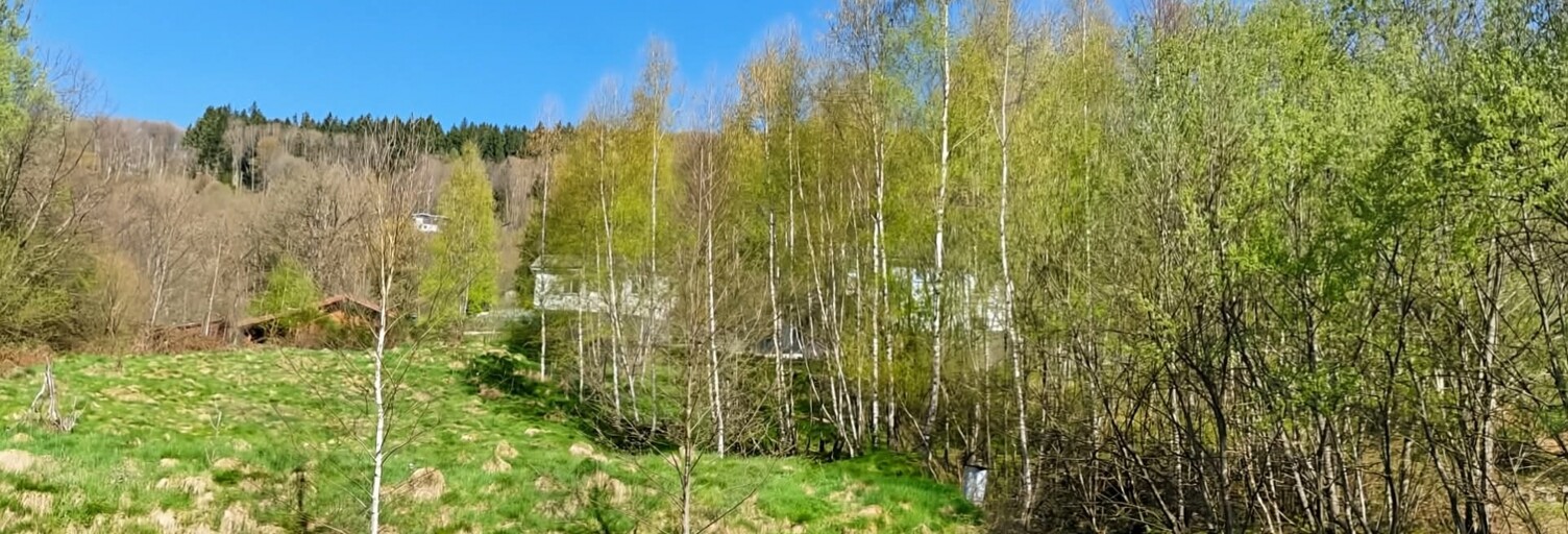 Terrain  3884 m² à vendre à Cornimont (88310)