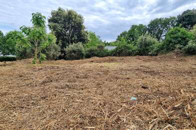 Terrain  229000 €