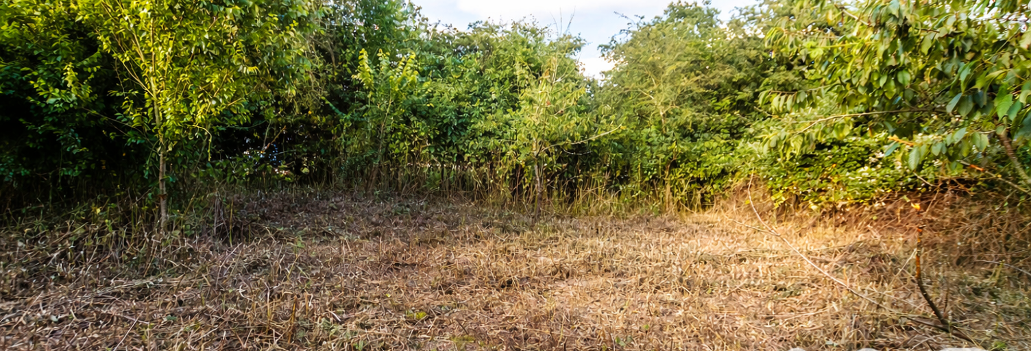 Terrain  1107 m² à vendre à Rugles (27250)