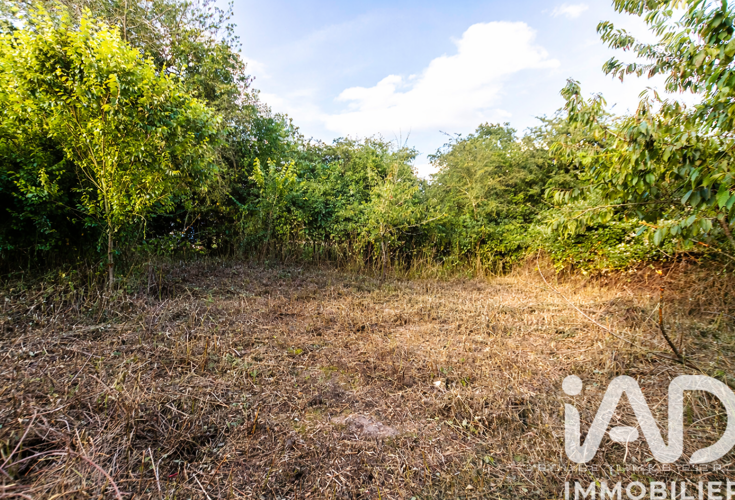 Vente Terrain à bâtir 1 107 m&sup2; — photo 1