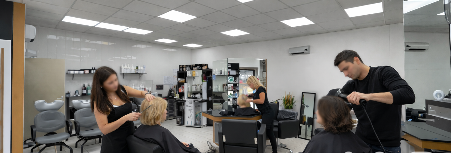 Commerce  54 m² à vendre à Égly (91520)