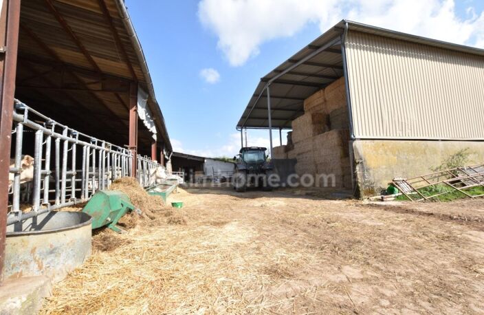 Maison à vendre 5 pièces DOMAIZE (63) — photo 4