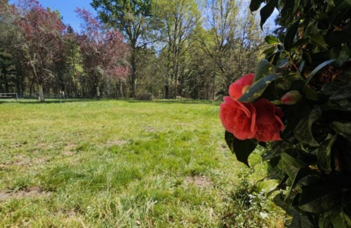 Propriété de charme Proche ECOMMOY (72) — photo 5