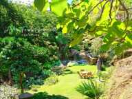 Appartement T3 Charme avec jardin – Oletta — photo 4