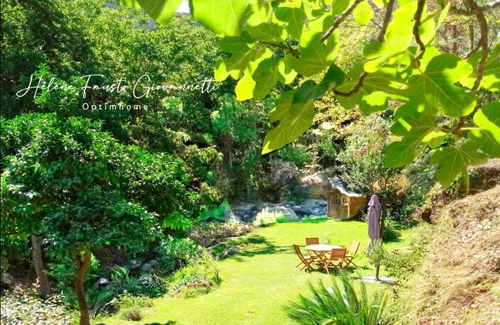 Appartement T3 Charme avec jardin – Oletta — photo 4