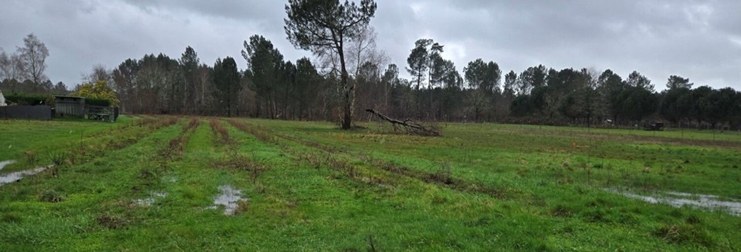 Terrain  1980 m² à vendre à Saint-Savin (33920)