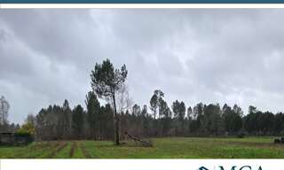 Terrain  1980 m² à vendre à Saint-Savin (33920)