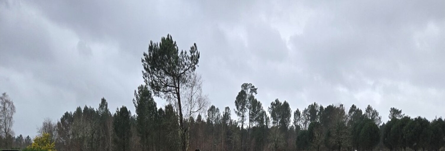 Terrain  1980 m² à vendre à Saint-Savin (33920)