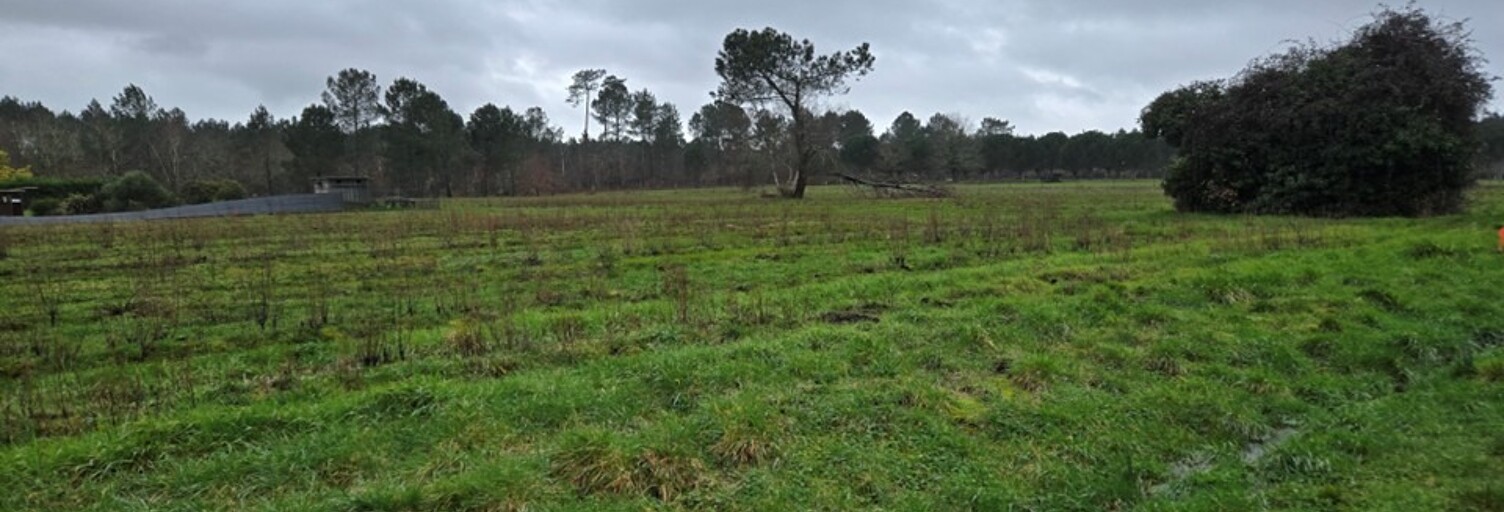 Terrain  1980 m² à vendre à Saint-Savin (33920)