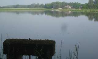 Maison 14 Pièces 500 m² à vendre à Villars-les-Dombes (01330)