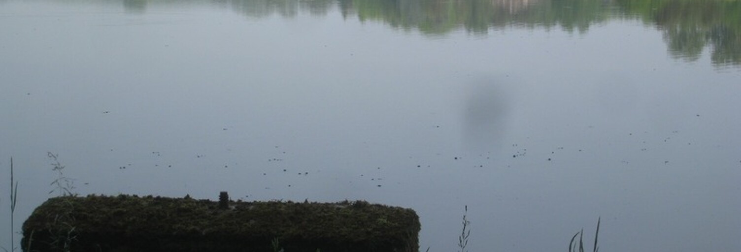 Maison 14 Pièces 500 m² à vendre à Villars-les-Dombes (01330)