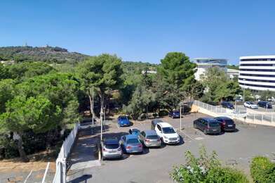 Appartement 1 pièces 530 €