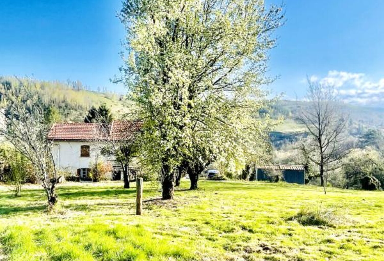 belle bâtisse sur parcelle 5800 m2 — photo 1