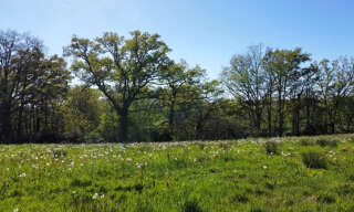 Photo N° 2