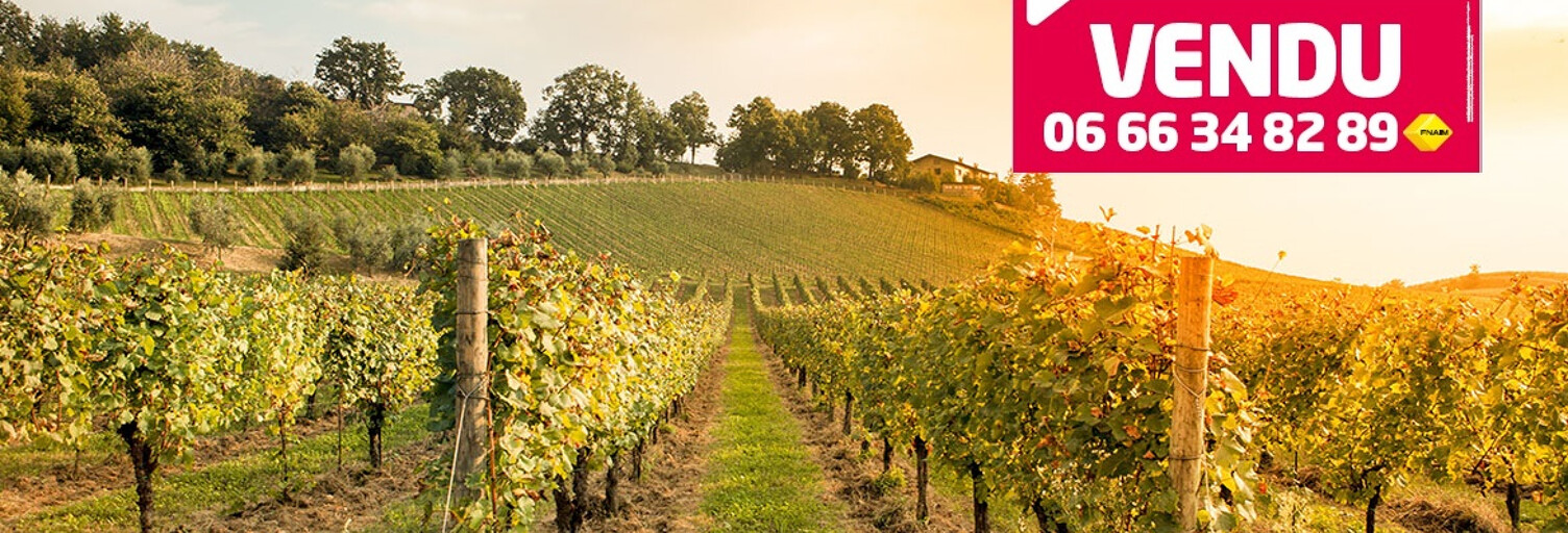 Terrain  1280 m² à vendre à Vidauban (83550)