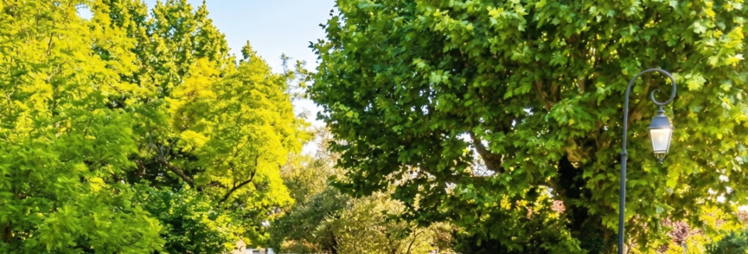 Terrain 600 m² à construire Lapalud (84840)