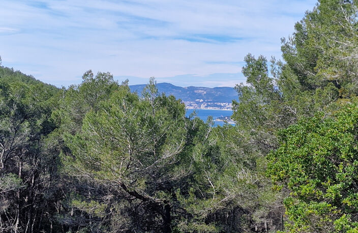 La cardière d'azur : Maison a rénover cadre campagne avec te — photo 2