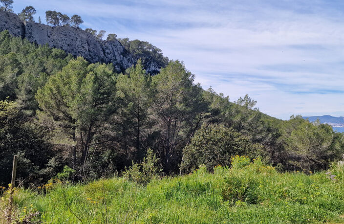 La cardière d'azur : Maison a rénover cadre campagne avec te — photo 4
