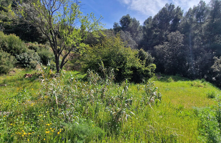 La cardière d'azur : Maison a rénover cadre campagne avec te — photo 5