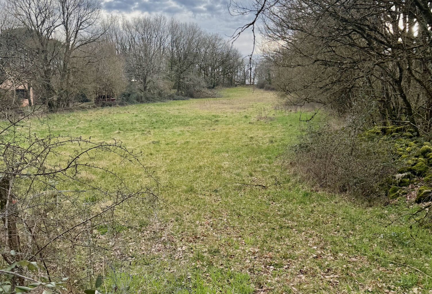 Terrain constructible de 5030 m2 — photo 1