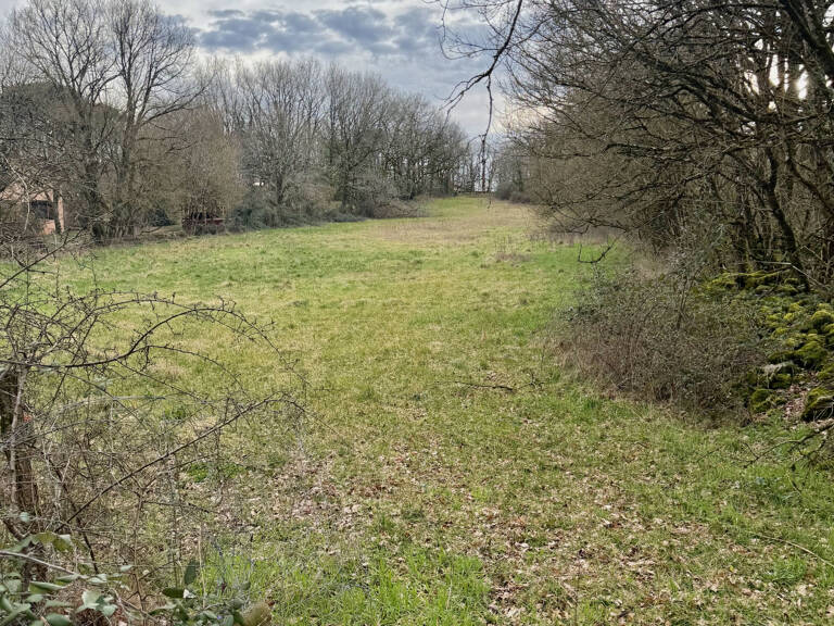 Terrain constructible de 5030 m2 — photo 1