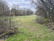 Terrain constructible de 5030 m2 — photo 2
