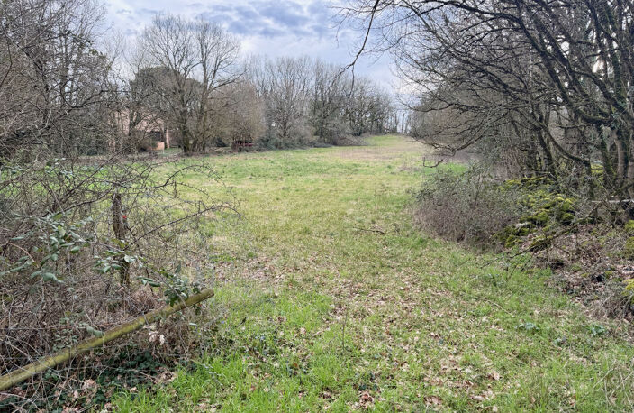 Terrain constructible de 5030 m2 — photo 2