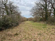 Terrain constructible de 5030 m2 — photo 3
