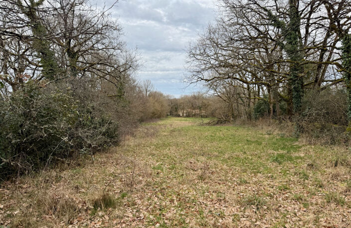 Terrain constructible de 5030 m2 — photo 3