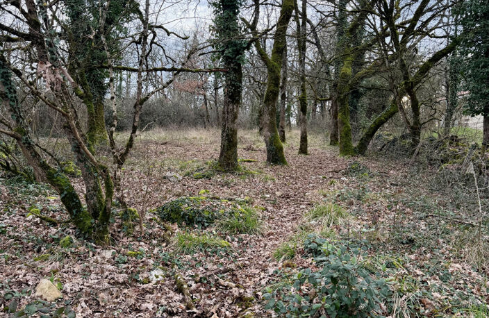 Terrain constructible de 5030 m2 — photo 4