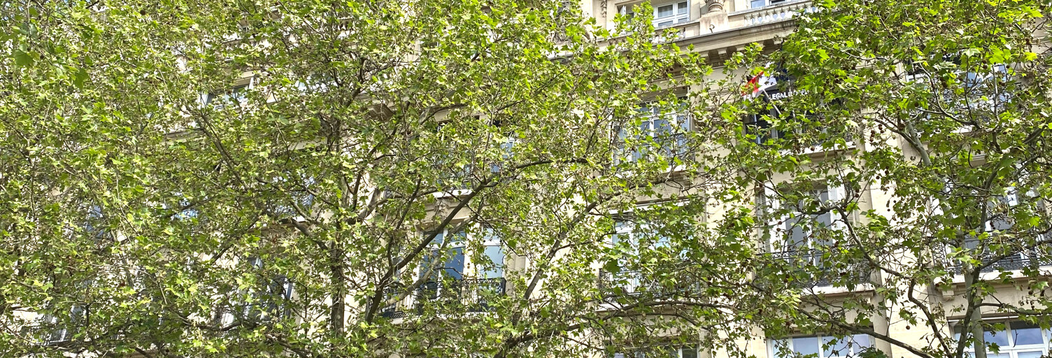 Bureau  26 m² à vendre à Paris 8 (75008)