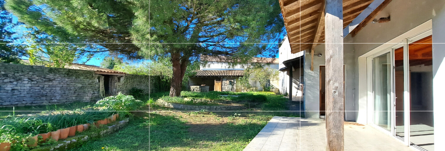 Photo N° 2