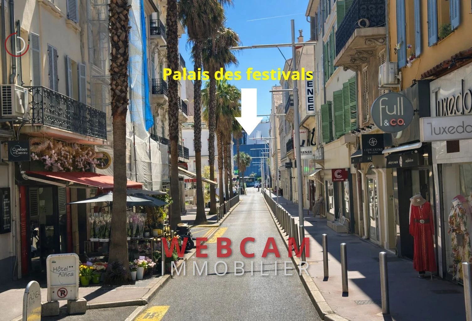 professionnel — photo 1