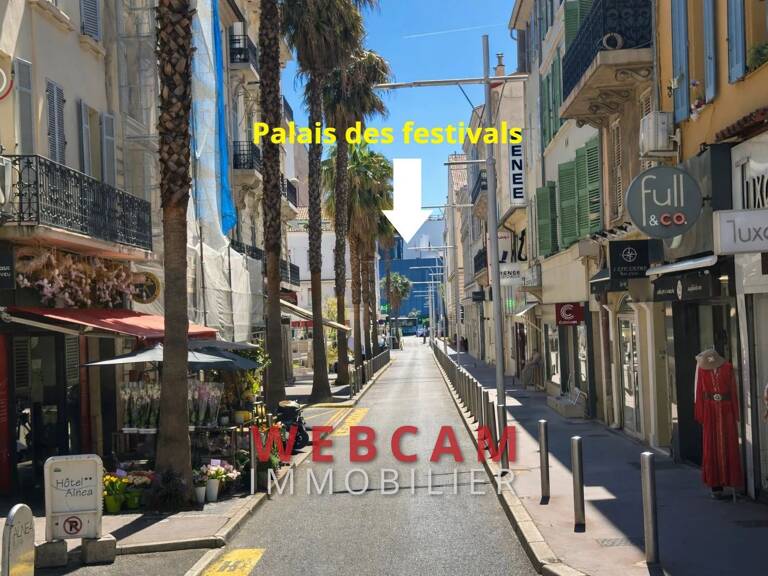 professionnel — photo 1