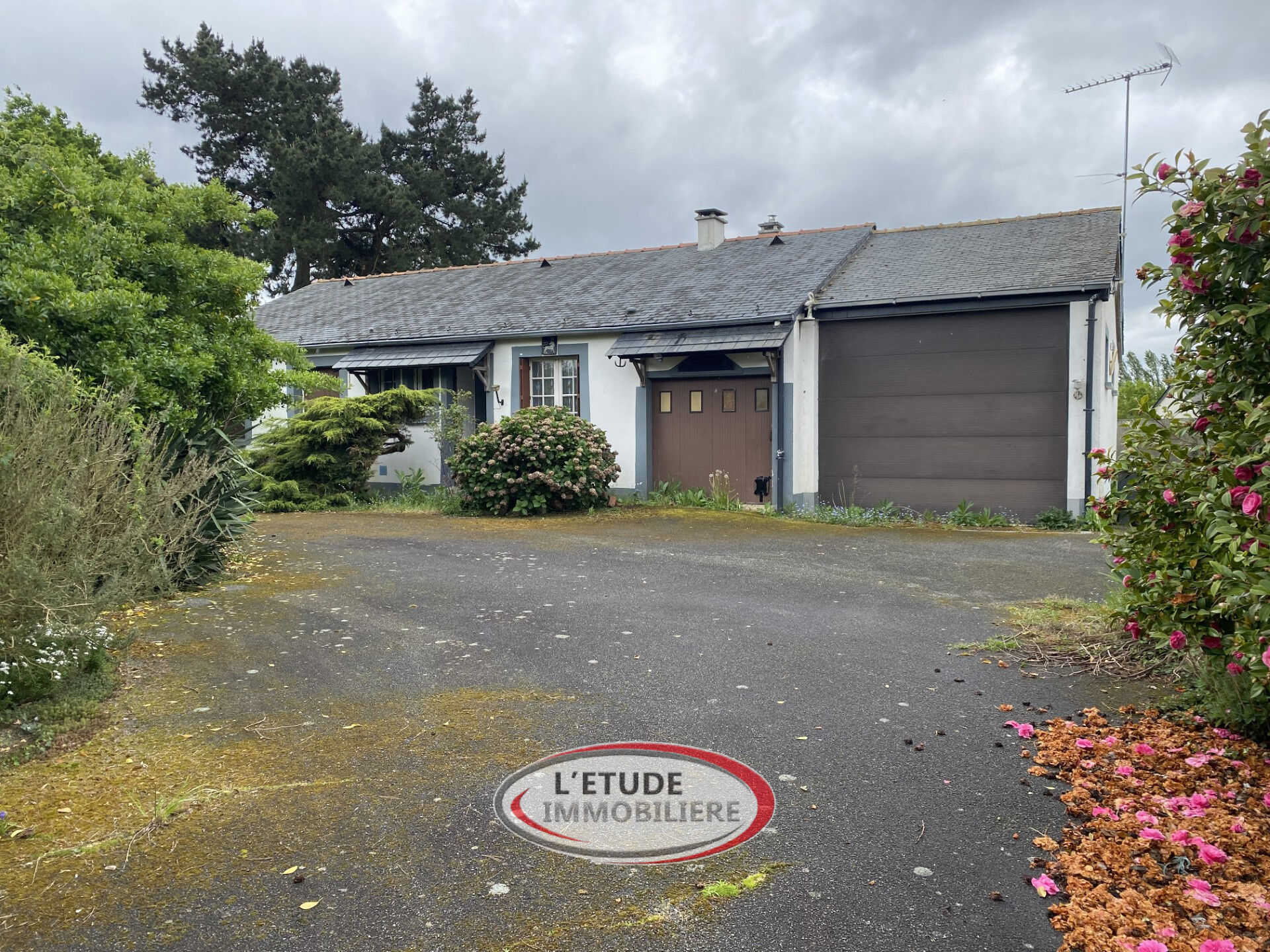 Agence immobilière de L'Etude Immobilière