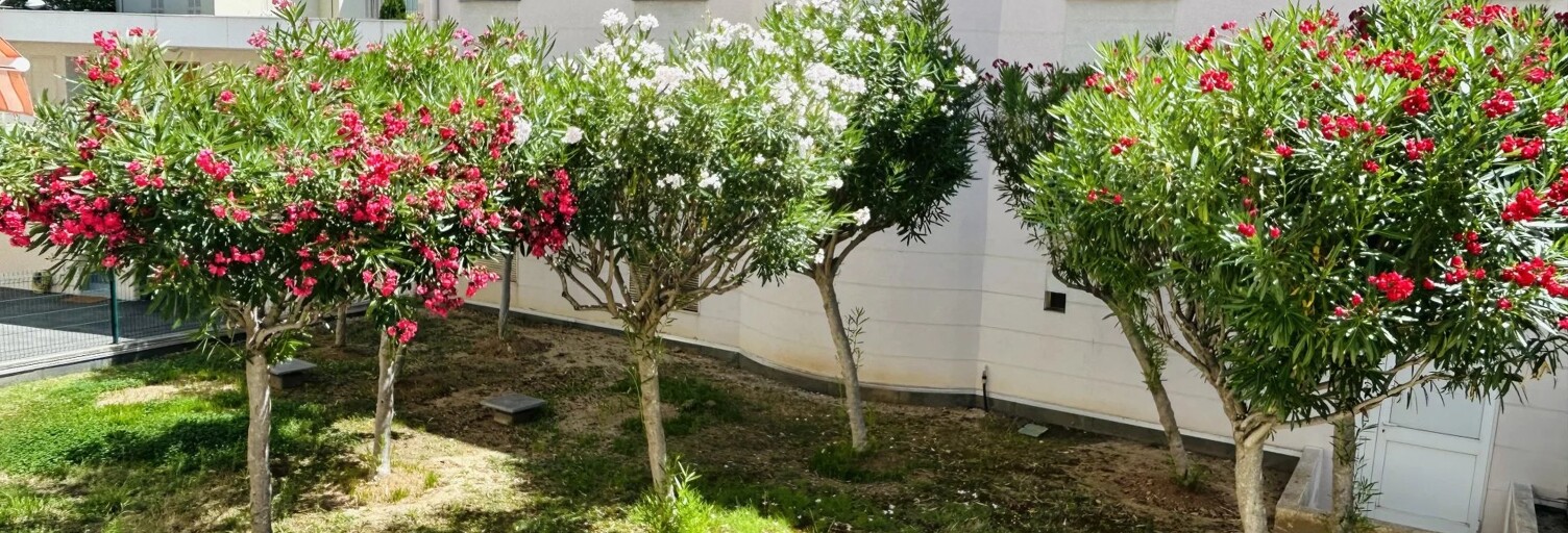 Appartement 3 Pièces 64 m² à vendre à Nice (06100)