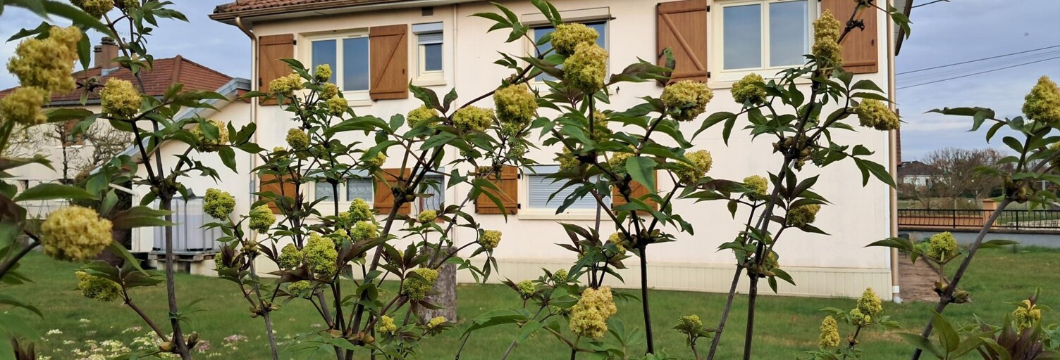 Maison 9 Pièces 117 m² à vendre à Luxeuil-les-Bains (70300)