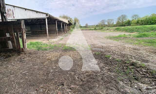 Local industriel  4008 m² à vendre à Noyelles-sous-Bellonne (62490)