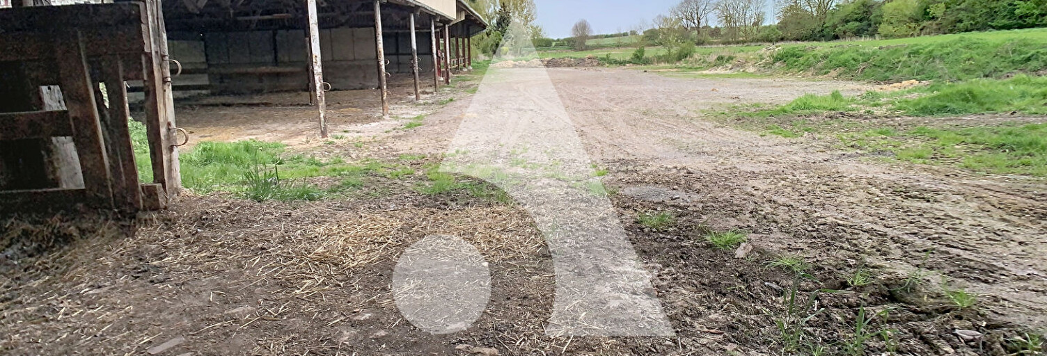 Local industriel  4008 m² à vendre à Noyelles-sous-Bellonne (62490)