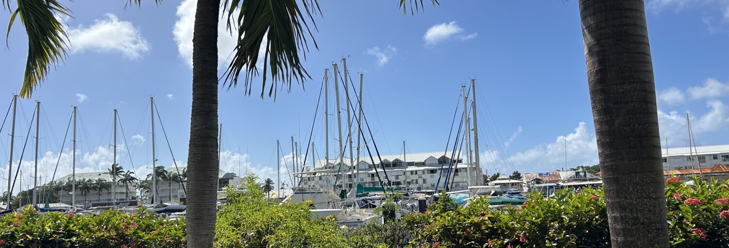 Appartement 1 Pièce 20 m² à vendre à Saint-François (97118)