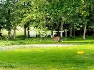 Maison familiale possède un parc avec bois/verger — photo 2