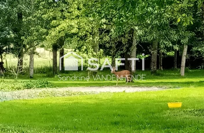 Maison familiale possède un parc avec bois/verger — photo 2