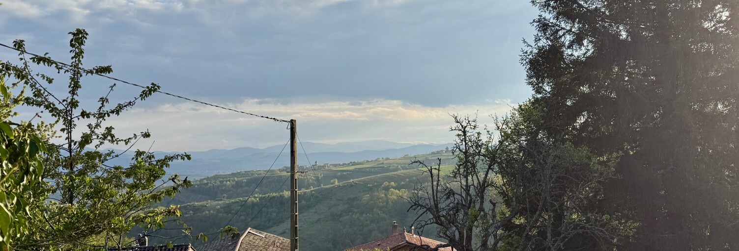 Photo N° 2