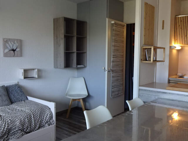 STUDIO RENOVE AVEC CELLIER/ LE PLA D'ADET — photo du bien