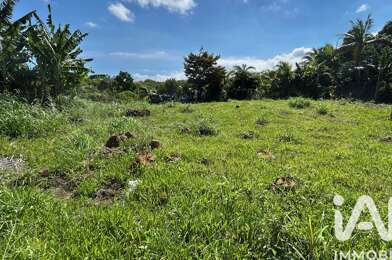 Terrain  318000 €