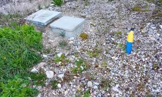 Terrain  950 m² à vendre à Cernon (39240)