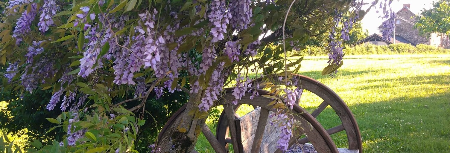 Photo N° 2
