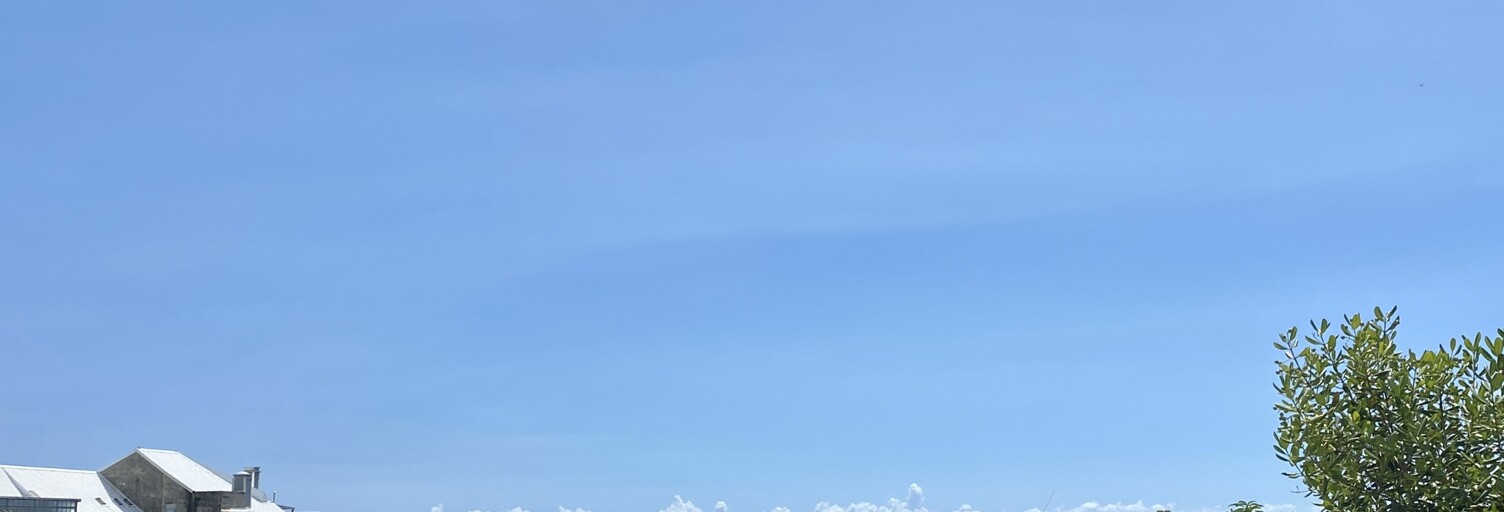 Appartement 3 Pièces 73 m² à vendre à Saint-Denis (97400)