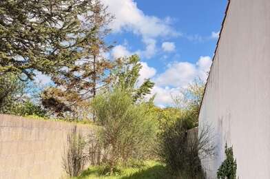 Terrain  90000 €